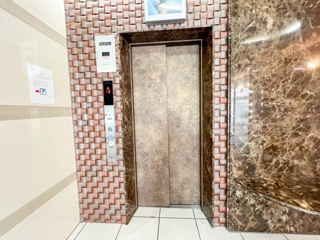 Luxe我孫子Ⅱのその他