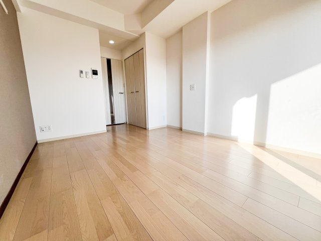 Luxe我孫子Ⅱの洋室