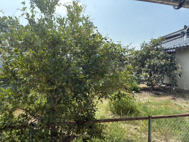 コーポ田園の展望