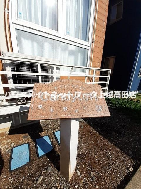 キャンディタフトのその他|おしゃれなプレート
