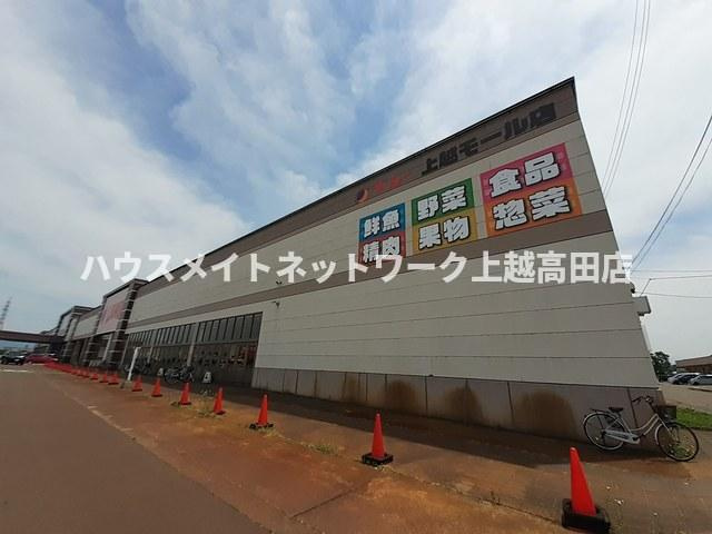 キャンディタフトの周辺|周辺施設