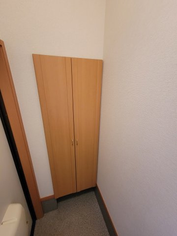 セリーヌBのその他