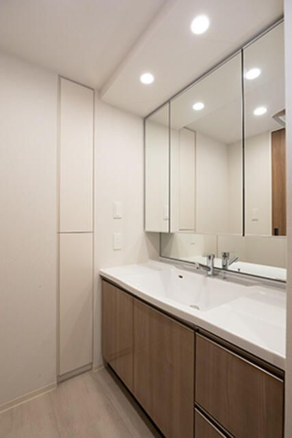 アビティグランデ砧　（Ｃ棟）の洗面所