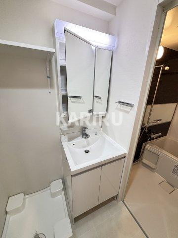 スプランディッド上本町WESTの洗面所