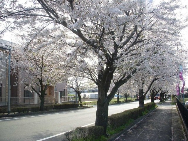 【周辺】 | MaisonComforce