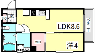 【間取り】 | ブルーム