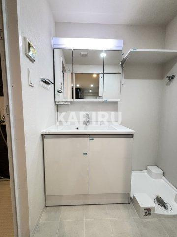 スプランディッド上本町WESTの洗面所