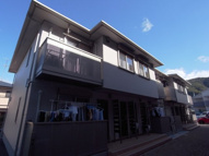 サクラメゾンの画像