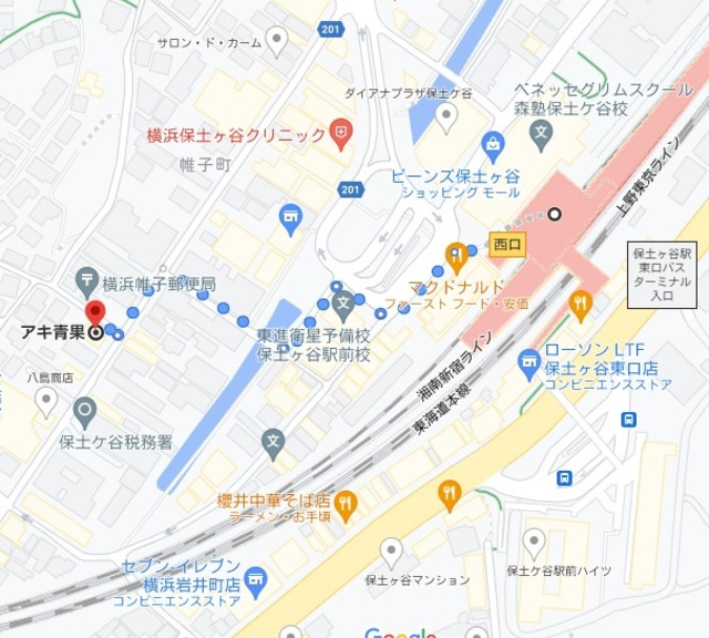 帷子ハウスの地図