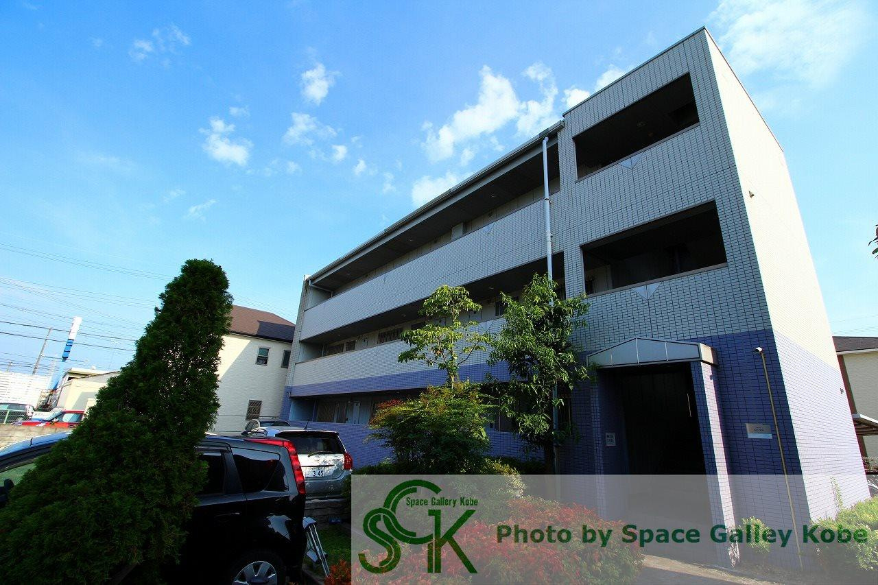 ヴェルドミールステラ