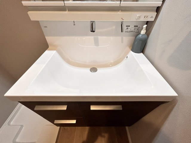 大日通２丁目　新築戸建の独立洗面台