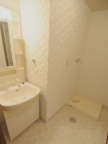 ロイヤルタムラさくら館の洗面所