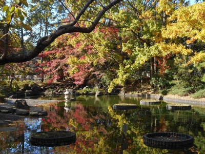 府中の森公園まで350ｍ