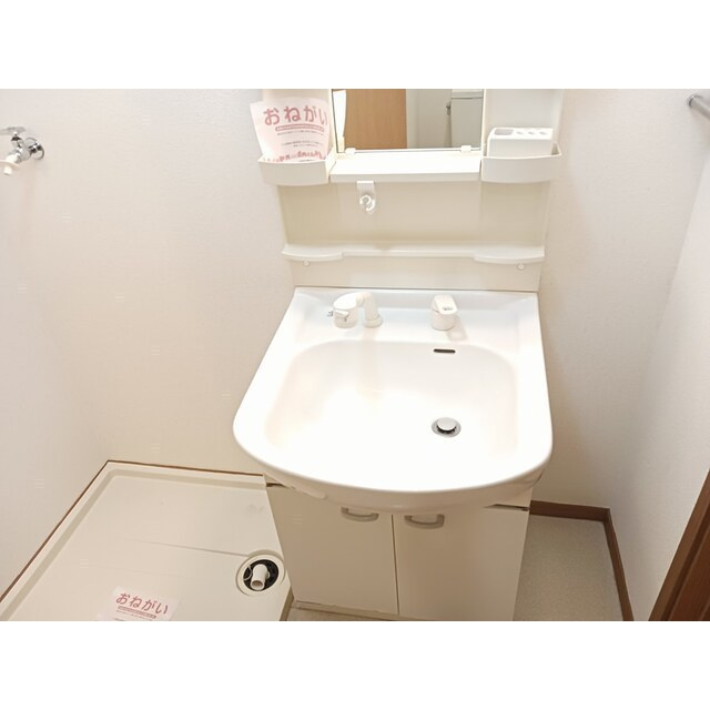 ドリームハウスの洗面所