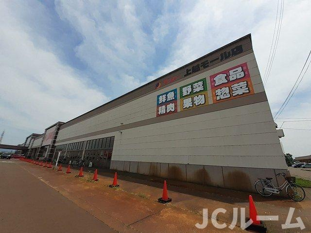 キャンディタフトの周辺|上越モールまで1040m