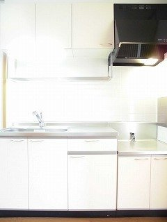 モデルン・ロイテ　Ａ棟のキッチン