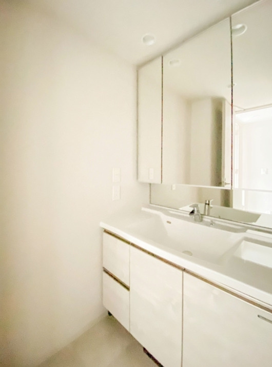 ロイヤルパークス品川の独立洗面台