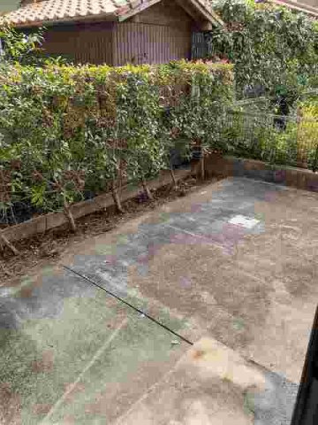 ハウスパピュラァの庭