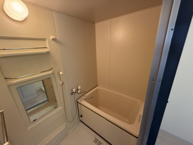 スカイハイツ緑地の浴室