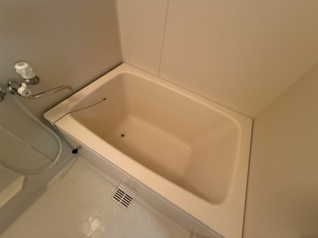 スカイハイツ緑地の浴室