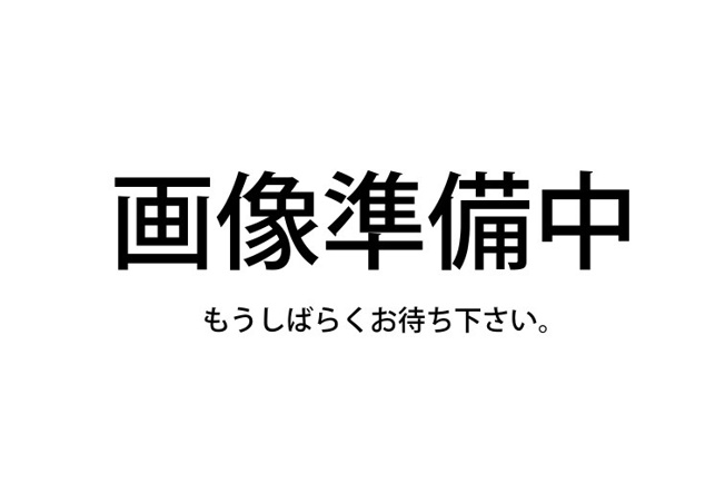 【土地図】 | 北諸県郡三股町五本松　1,200万円