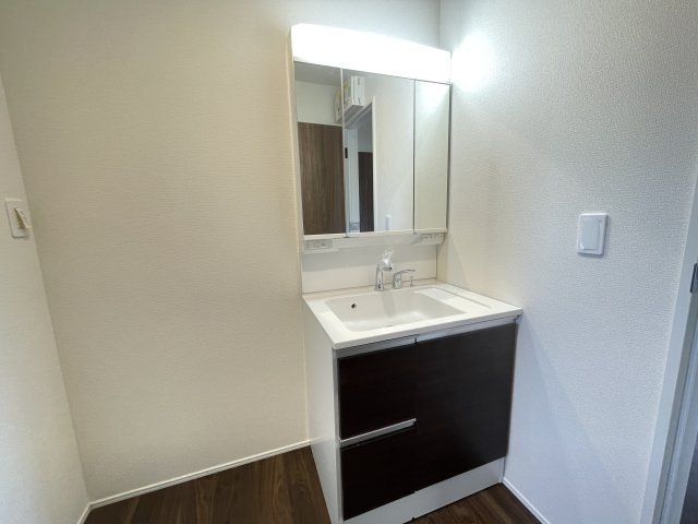 藤岡市下栗須第１期（全3棟１区画）3号棟の独立洗面台|三面鏡の裏に収納があり便利です。継ぎ目や隙間が無く汚れてもささっと拭くだけのお掃除に配慮したカウンターです(^▽^)/