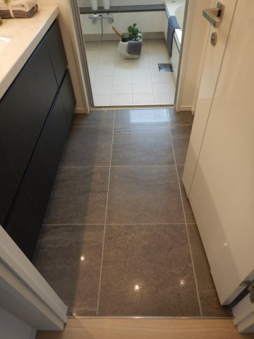 ザ・六本木東京クラブレジデンスの脱衣所