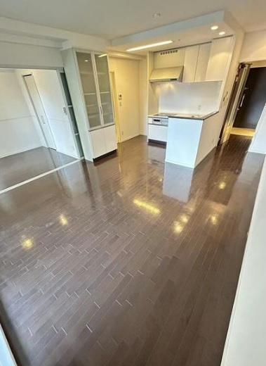 大阪市天王寺区筆ケ崎町の賃貸マンションの内装