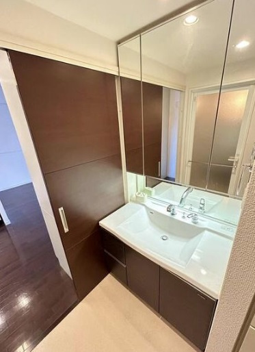 大阪市天王寺区筆ケ崎町の賃貸マンションの洗面所