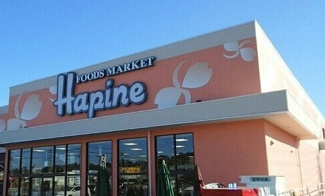 【周辺】 | リヴェール | ハピネスまで1300m