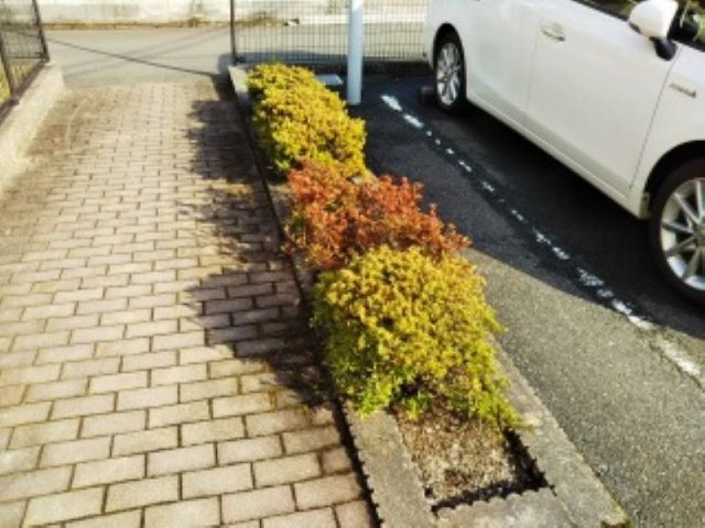 レオパレスらいはるのその他