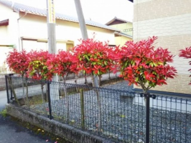 レオパレスらいはるのその他