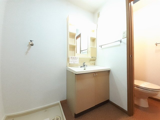 スカイヒルズＢの洗面所