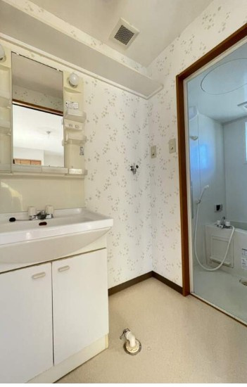 パレスユートピアの洗面所