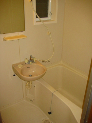 【浴室】 | グラディールセントラルⅡ