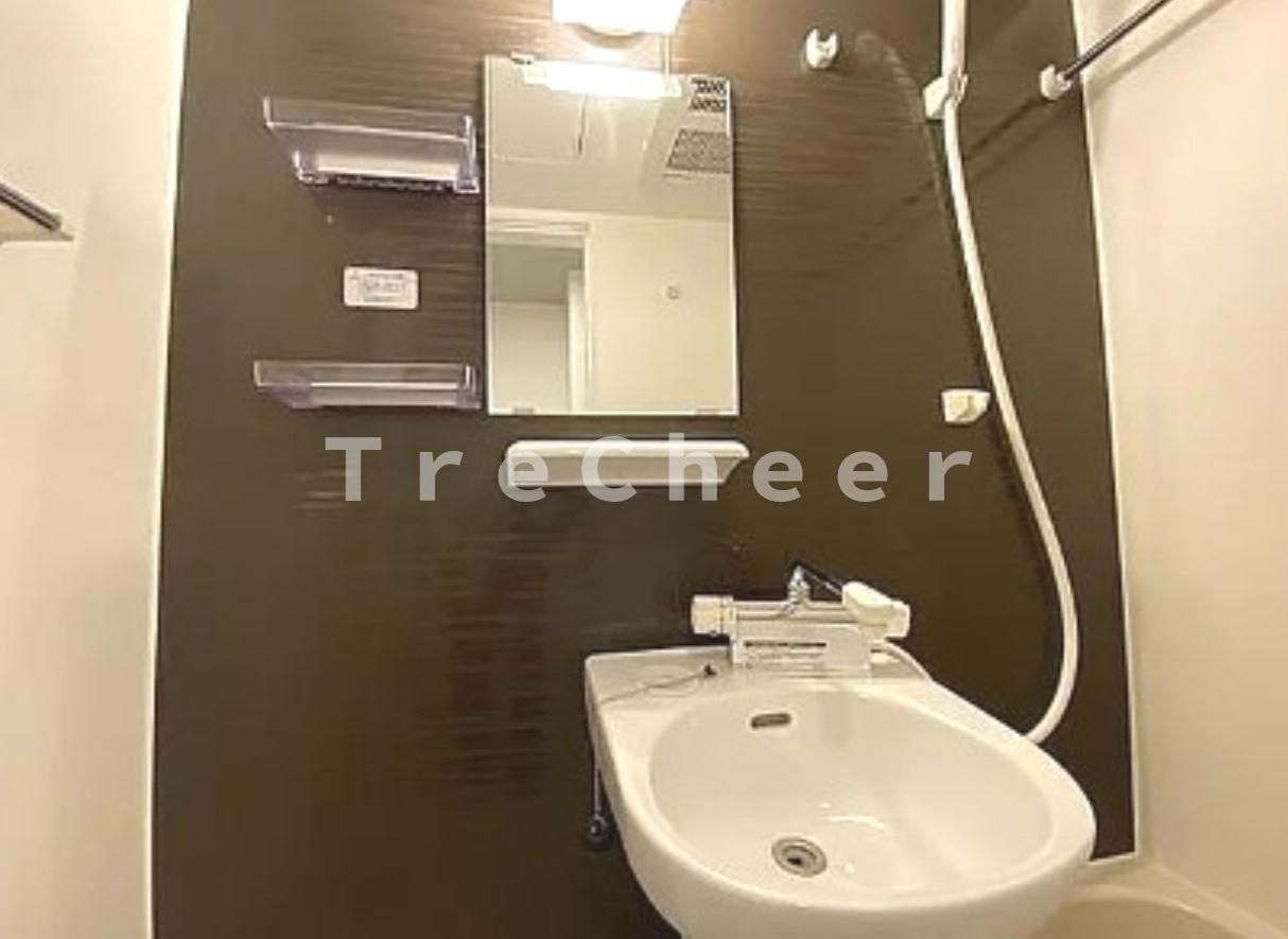 ココフラット大山(COCOFLAT大山)の洗面所