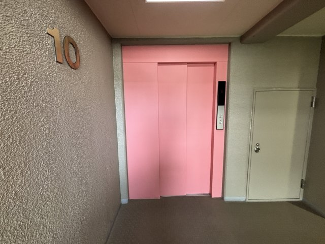 の-の画像