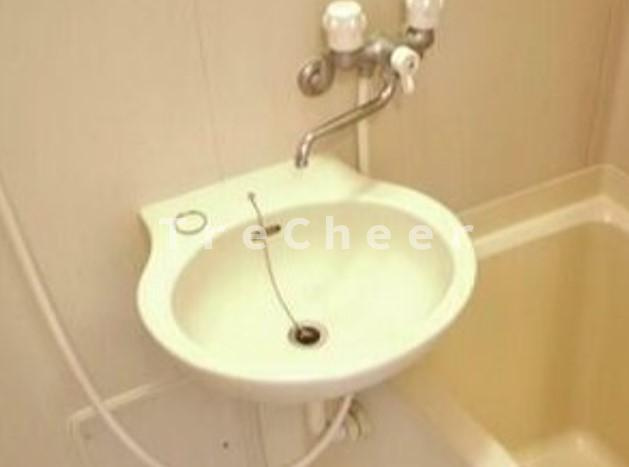 シティコート十条の洗面所