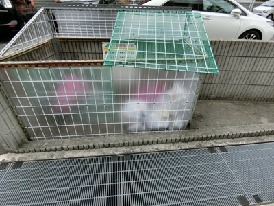 【その他共用部分】 | パセオ久米田