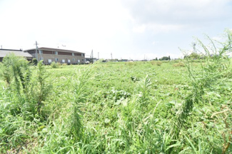 【外観】 | 鹿屋市新川町　売地