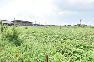 【外観】 | 鹿屋市新川町　売地