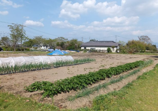 都城市横市町の売地の外観
