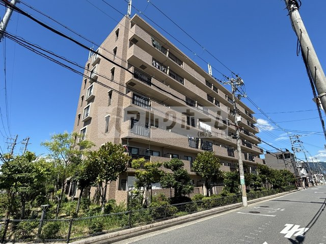 アディーレ八尾