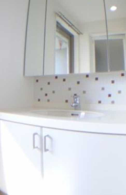 コンフォリア三宿　礼金0　ペット相談可　高層階の洗面所