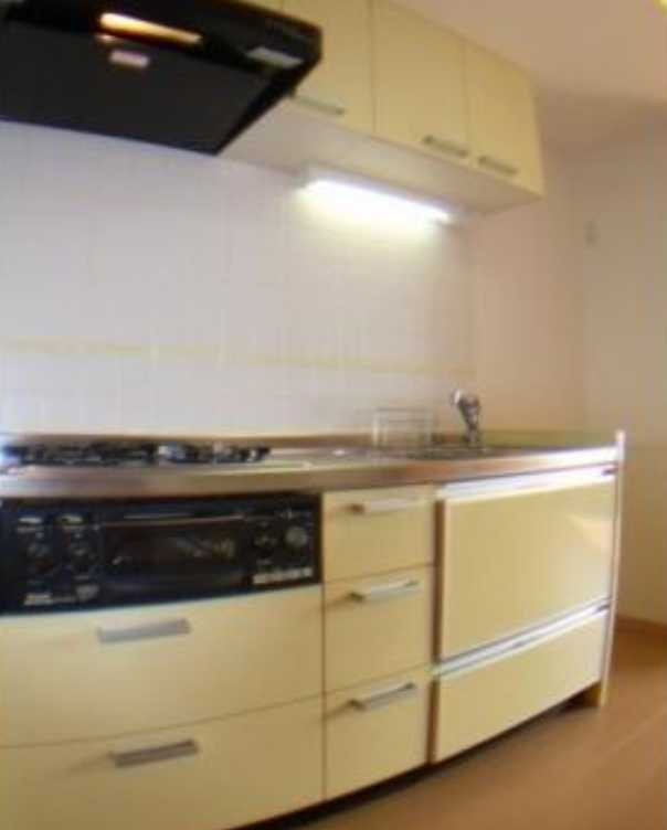 コンフォリア三宿　礼金0　ペット相談可　高層階のキッチン