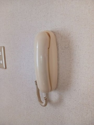 【セキュリティ】 | ピークス