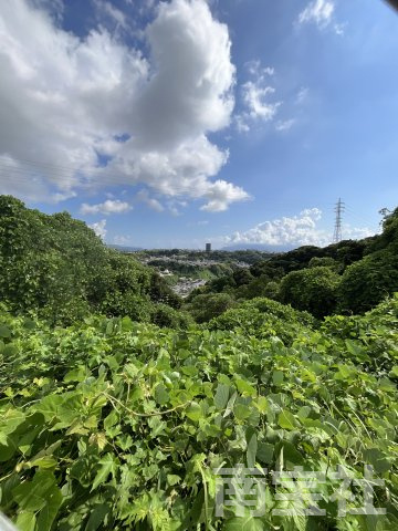 【その他】 | 前面道路から市街地方面の展望