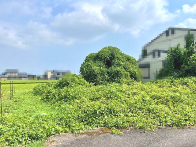 高島市新旭町新庄50坪売地の外観