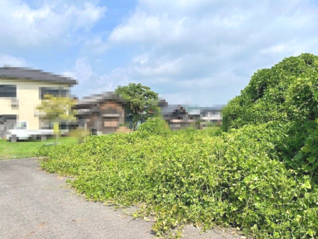 高島市新旭町新庄50坪売地の前面道路含む現地写真