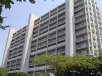 志木ニュータウン中央の森参番街７号棟の画像